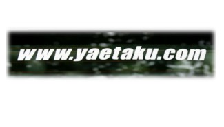 www.yaetaku.com